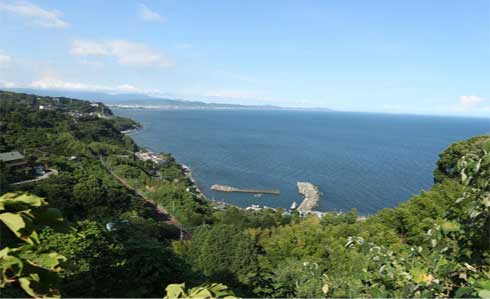 小田原の山と海